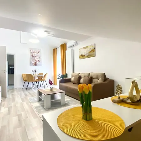 Appartamento Elegance Braşov