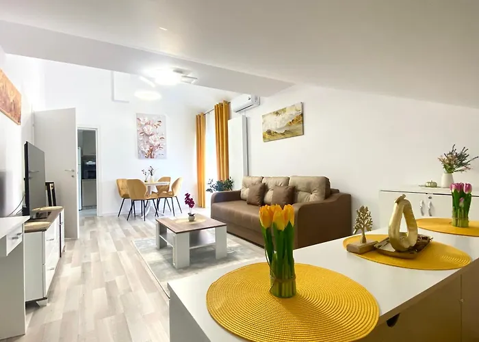 Apartment Elegance Brasov